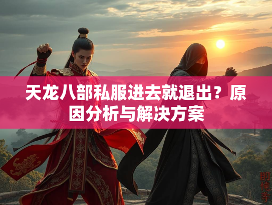 天龙八部私服进去就退出？原因分析与解决方案  第1张