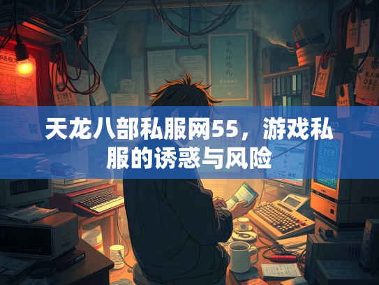 天龙八部私服网55，游戏私服的诱惑与风险  第2张