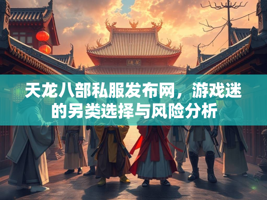 天龙八部私服发布网，游戏迷的另类选择与风险分析  第2张