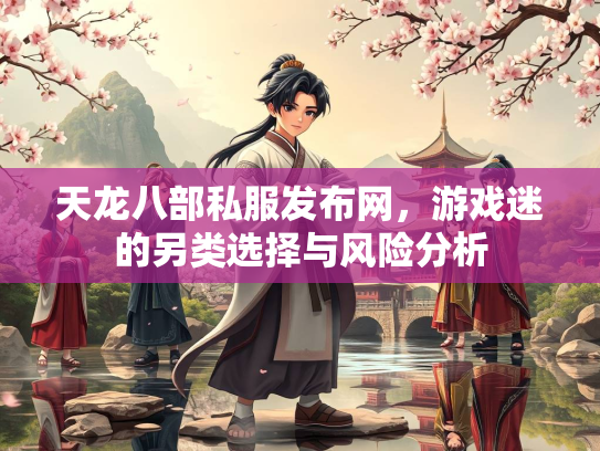天龙八部私服发布网，游戏迷的另类选择与风险分析