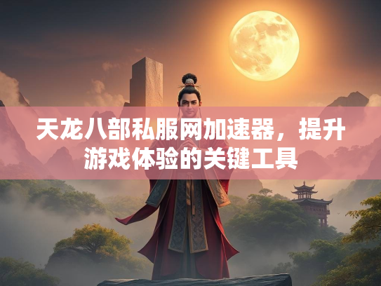 天龙八部私服网加速器，提升游戏体验的关键工具  第3张
