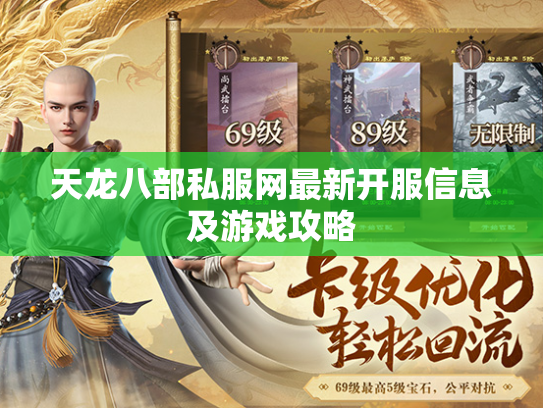 天龙八部私服网最新开服信息及游戏攻略  第2张