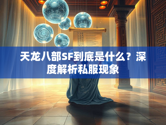 天龙八部SF到底是什么？深度解析私服现象  第1张