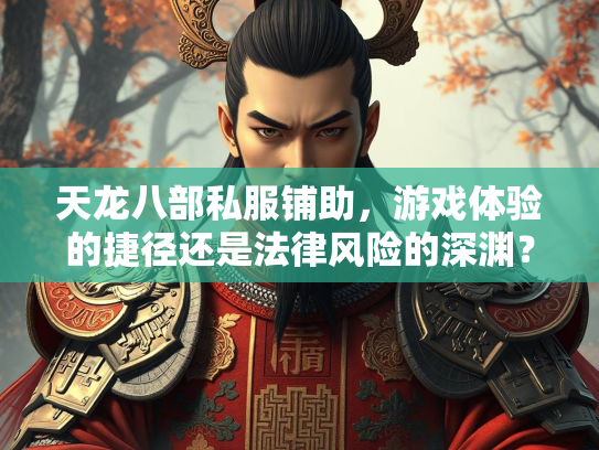 天龙八部私服铺助，游戏体验的捷径还是法律风险的深渊？