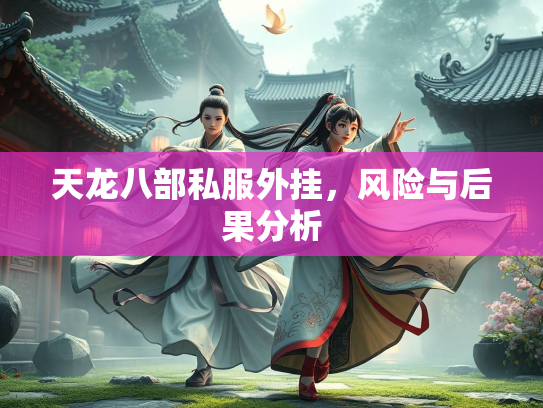 天龙八部私服外挂，风险与后果分析