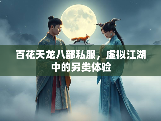 百花天龙八部私服，虚拟江湖中的另类体验  第3张