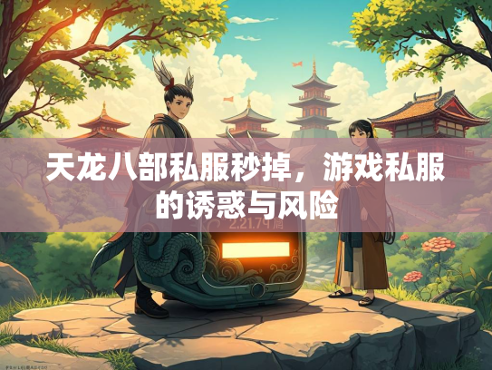 天龙八部私服秒掉，游戏私服的诱惑与风险  第2张