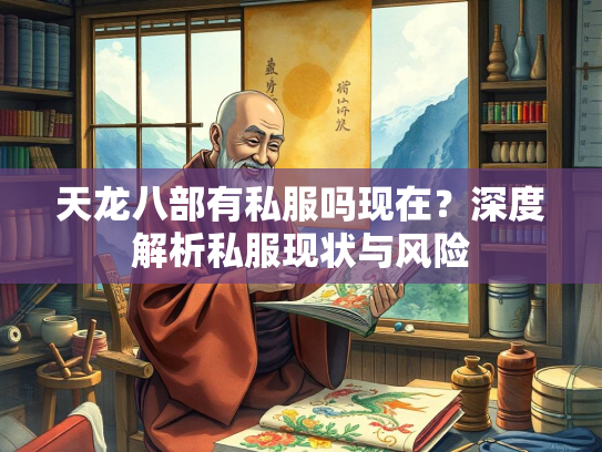 天龙八部有私服吗现在？深度解析私服现状与风险  第2张