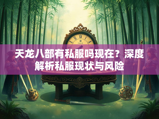 天龙八部有私服吗现在？深度解析私服现状与风险  第3张