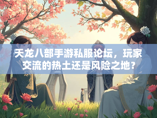 天龙八部手游私服论坛，玩家交流的热土还是风险之地？  第3张