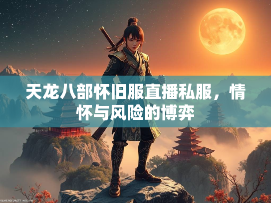 天龙八部怀旧服直播私服，情怀与风险的博弈  第3张