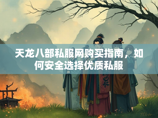 天龙八部私服网购买指南，如何安全选择优质私服  第3张