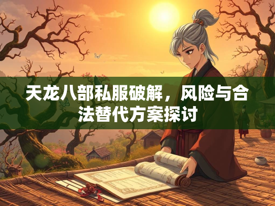 天龙八部私服破解，风险与合法替代方案探讨  第3张