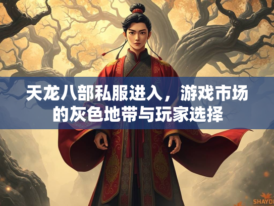 天龙八部私服进入，游戏市场的天龙灰色地带与玩家选择  第1张