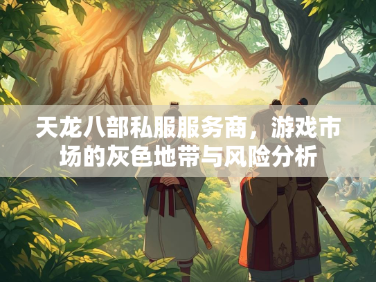 天龙八部私服服务商，游戏市场的灰色地带与风险分析  第2张