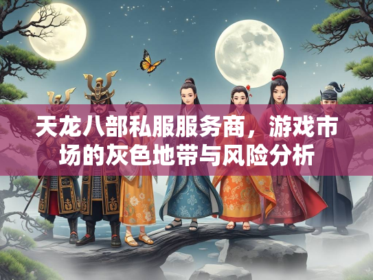 天龙八部私服服务商，游戏市场的灰色地带与风险分析  第1张