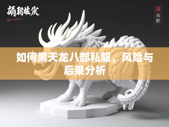 如何黑天龙八部私服，风险与后果分析  第2张