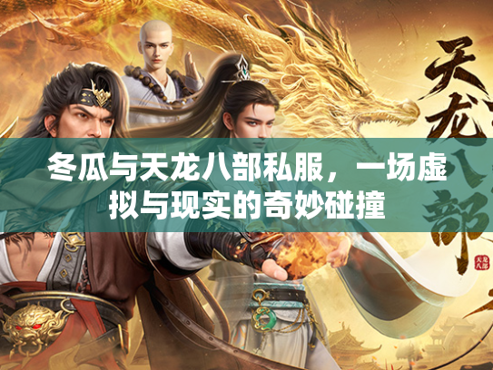 冬瓜与天龙八部私服，一场虚拟与现实的奇妙碰撞