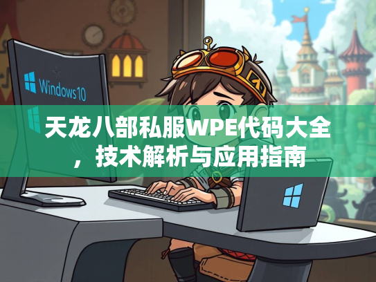 天龙八部私服WPE代码大全，技术解析与应用指南