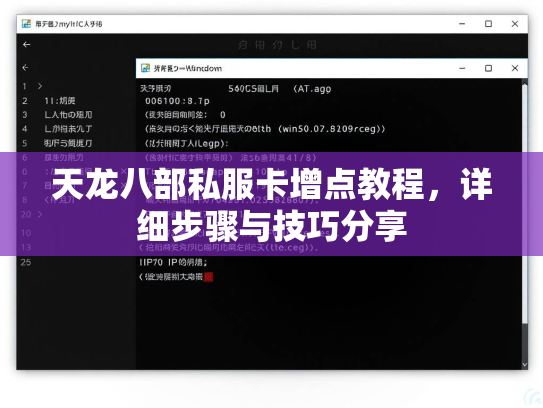 天龙八部私服卡增点教程，详细步骤与技巧分享  第2张