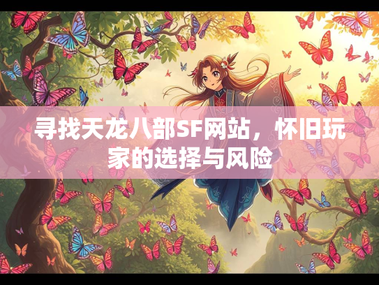寻找天龙八部SF网站，怀旧玩家的选择与风险  第3张