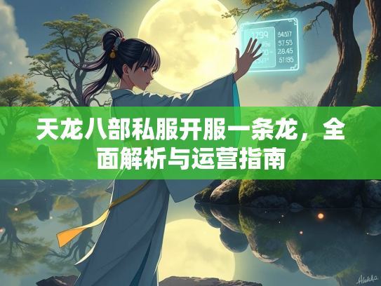 天龙八部私服开服一条龙，全面解析与运营指南  第3张