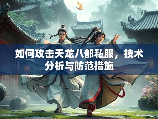 如何攻击天龙八部私服，技术分析与防范措施
