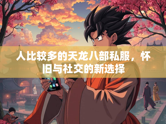 人比较多的天龙八部私服，怀旧与社交的新选择  第1张