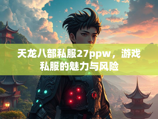 天龙八部私服27ppw，游戏私服的魅力与风险  第2张