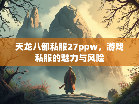 天龙八部私服27ppw，游戏私服的魅力与风险  第3张