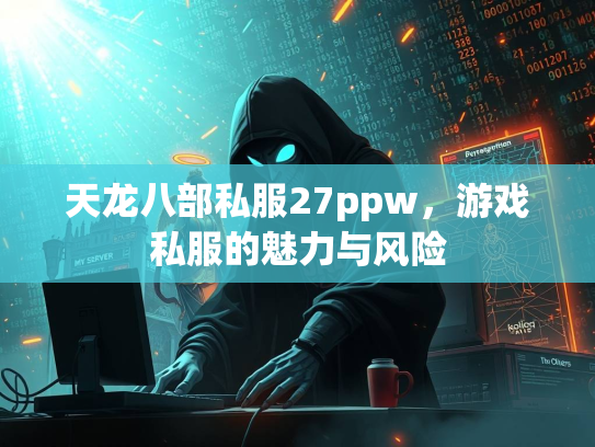 天龙八部私服27ppw，游戏私服的魅力与风险