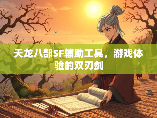天龙八部SF辅助工具，游戏体验的双刃剑
