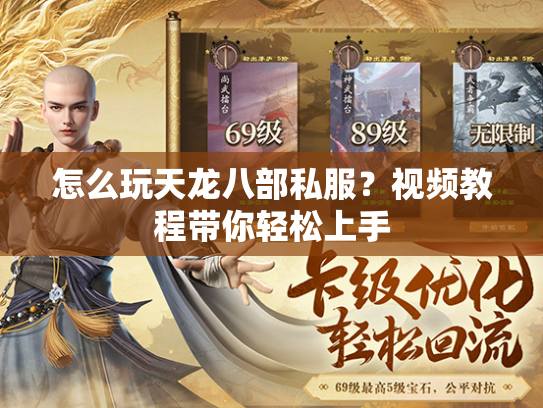 怎么玩天龙八部私服？视频教程带你轻松上手  第2张