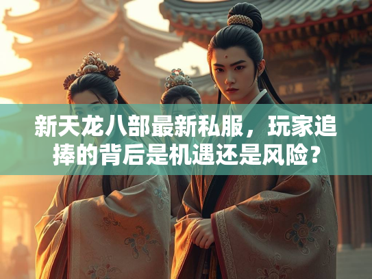 新天龙八部最新私服，玩家追捧的背后是机遇还是风险？  第2张