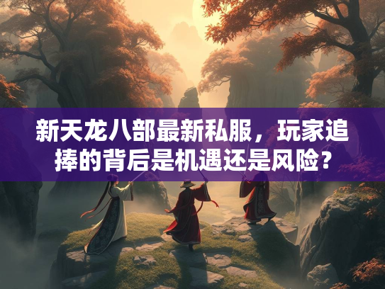 新天龙八部最新私服，玩家追捧的背后是机遇还是风险？  第3张