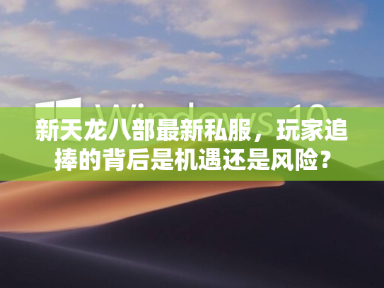 新天龙八部最新私服，玩家追捧的背后是机遇还是风险？