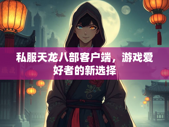 私服天龙八部客户端，游戏爱好者的新选择  第1张