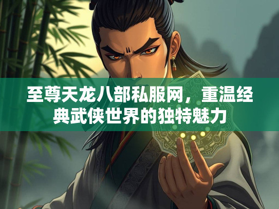 至尊天龙八部私服网，重温经典武侠世界的独特魅力  第2张