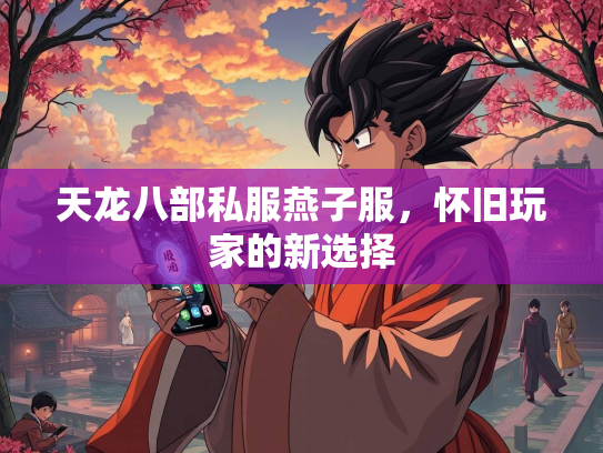 天龙八部私服燕子服，怀旧玩家的新选择  第2张