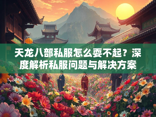 天龙八部私服怎么耍不起？深度解析私服问题与解决方案