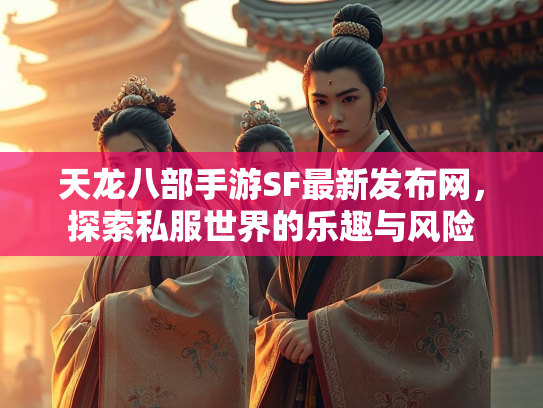 天龙八部手游SF最新发布网，探索私服世界的乐趣与风险  第3张
