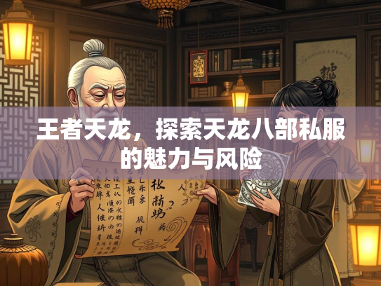 王者天龙，探索天龙八部私服的魅力与风险  第2张