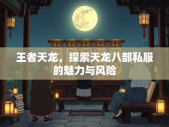 王者天龙，探索天龙八部私服的魅力与风险  第3张