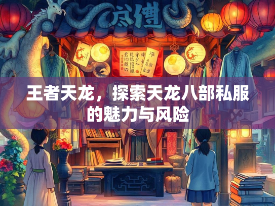 王者天龙，探索天龙八部私服的魅力与风险