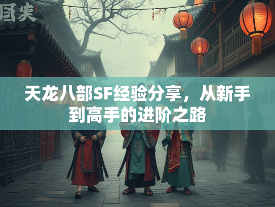 天龙八部SF经验分享，从新手到高手的进阶之路  第2张