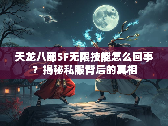 天龙八部SF无限技能怎么回事？揭秘私服背后的真相  第2张