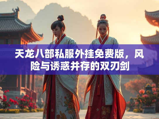 天龙八部私服外挂免费版，风险与诱惑并存的双刃剑