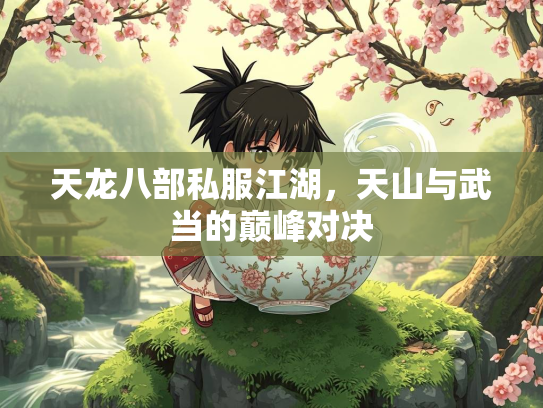 天龙八部私服江湖，天山与武当的巅峰对决  第1张