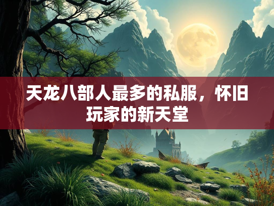 天龙八部人最多的私服，怀旧玩家的新天堂  第2张