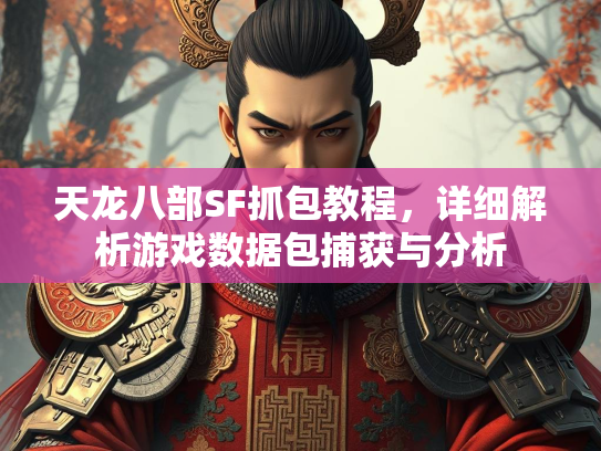 天龙八部SF抓包教程，详细解析游戏数据包捕获与分析  第2张